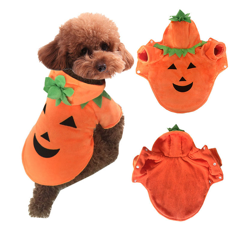 Cute Funny Pumpkin Dog Costume