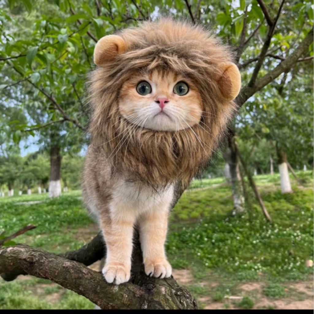 Lion Mane Pet Costume for Cats & Small Dogs