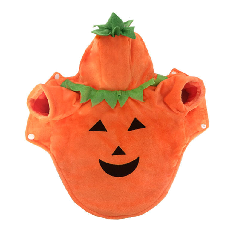 Cute Funny Pumpkin Dog Costume