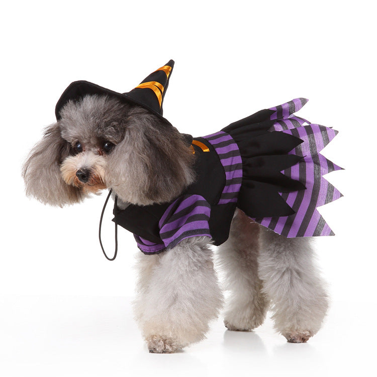 Witchy Halloween Pet – Weird Alternative Dog & Cat Costume Pet Clothes