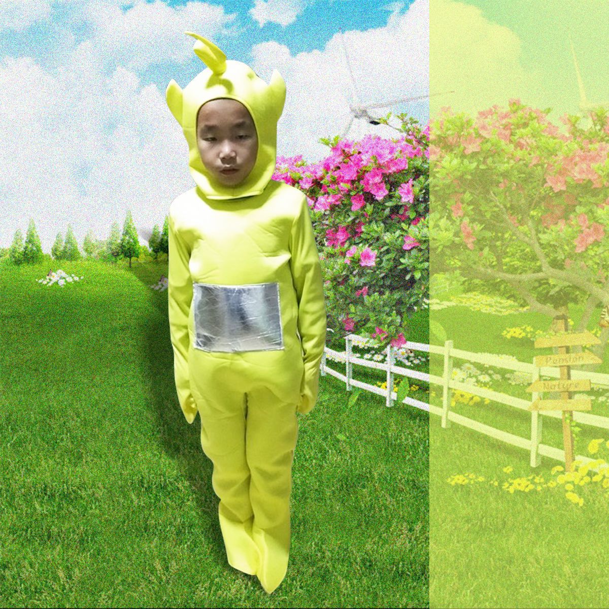 Teletubbies Cartoon Character Halloween Costume