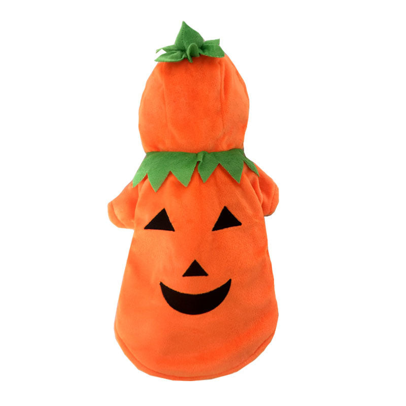 Cute Funny Pumpkin Dog Costume