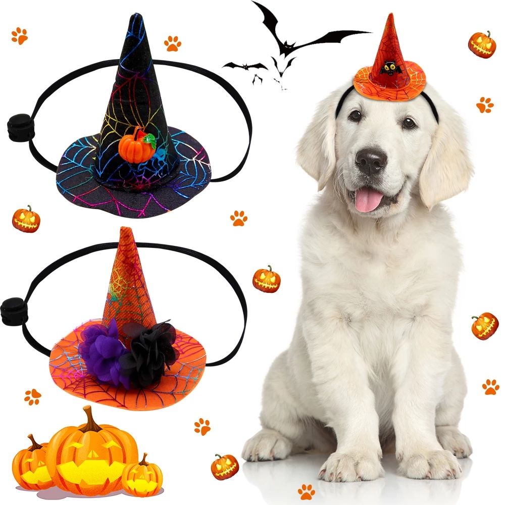 Spider Web Witch Hat, Pumpkin & Bat Hats for Dogs & Cats