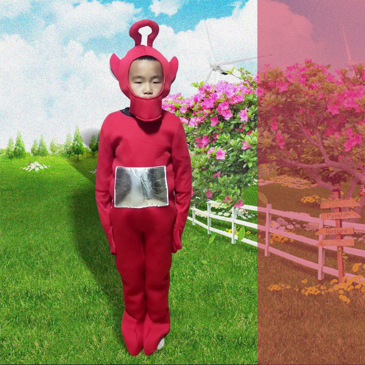 Teletubbies Cartoon Character Halloween Costume
