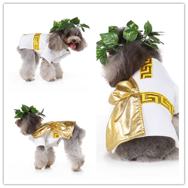 Witchy Halloween Pet – Weird Alternative Dog & Cat Costume Pet Clothes
