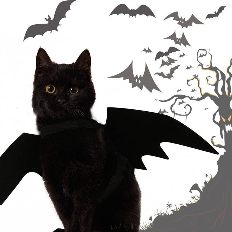 Halloween Bat Wings Costume for Cats
