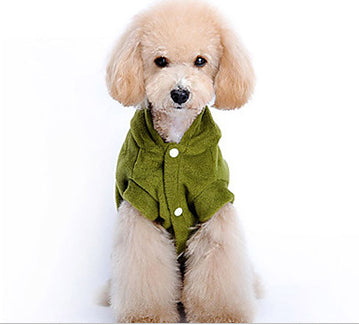 Dinosaur Pet Halloween Costume – Cute Dog & Cat Transformation Outfit