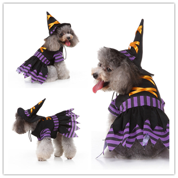 Witchy Halloween Pet – Weird Alternative Dog & Cat Costume Pet Clothes