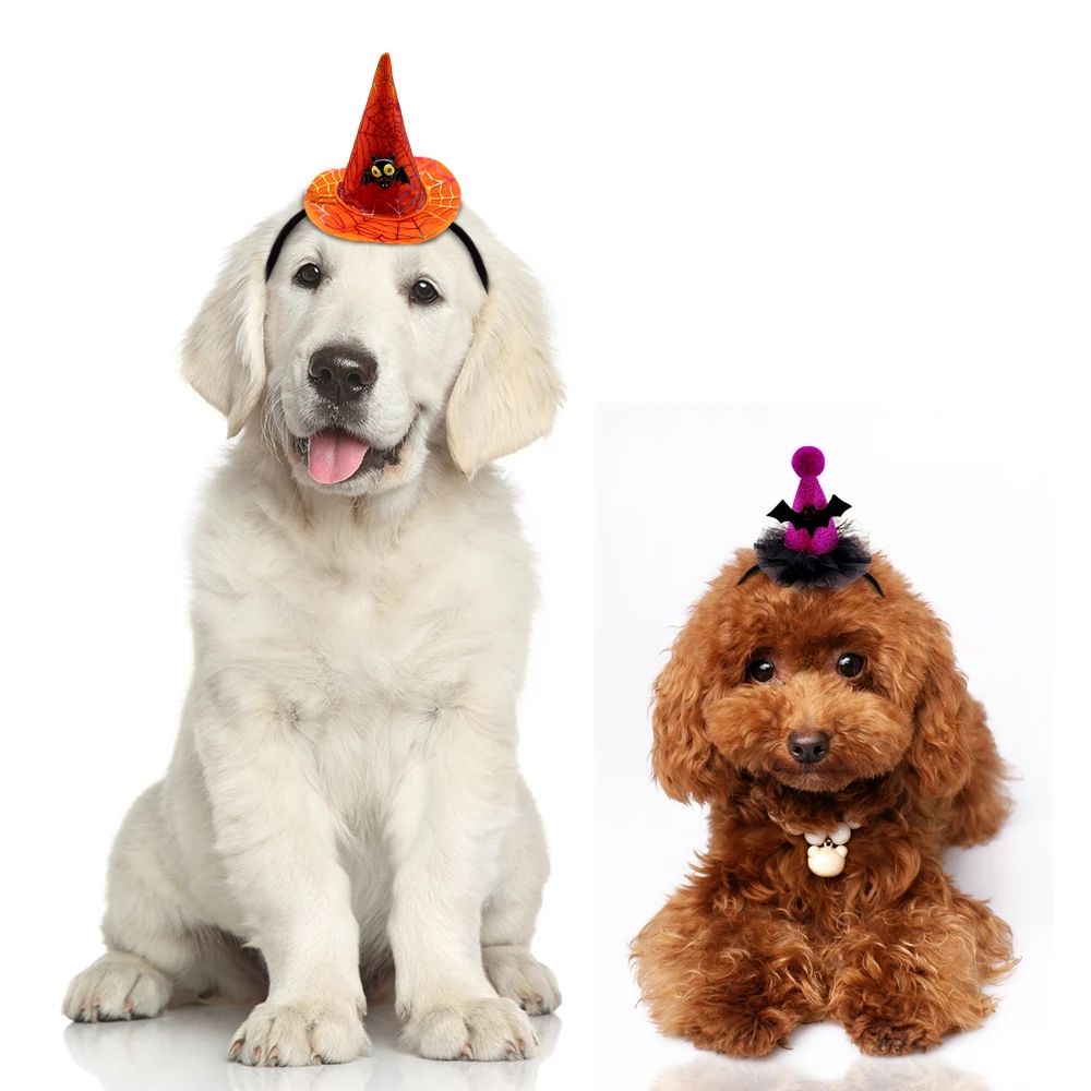 Spider Web Witch Hat, Pumpkin & Bat Hats for Dogs & Cats