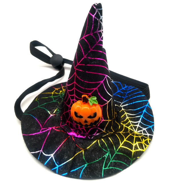 Spider Web Witch Hat, Pumpkin & Bat Hats for Dogs & Cats