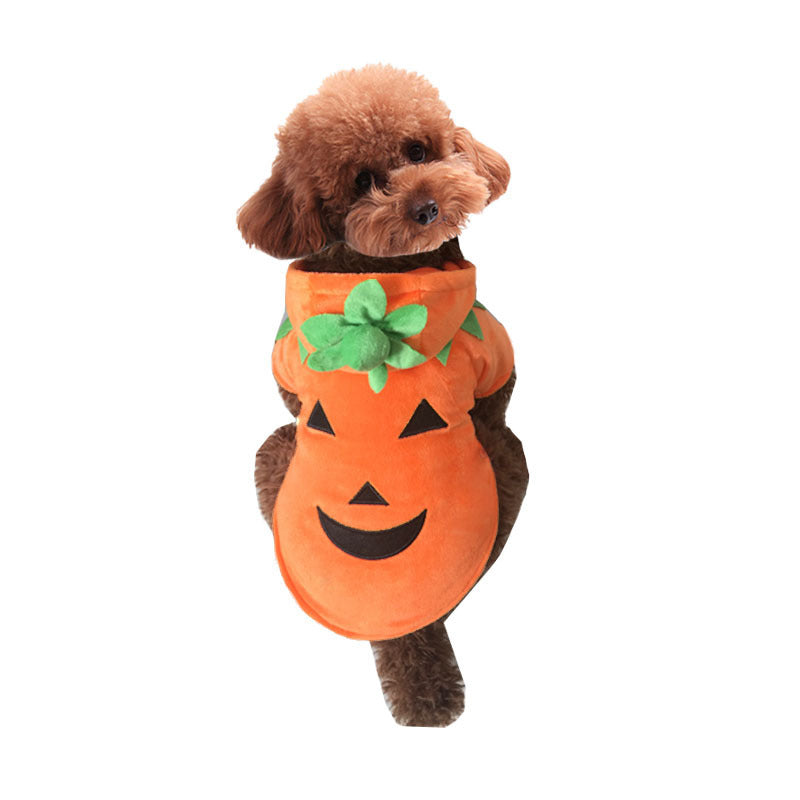 Cute Funny Pumpkin Dog Costume