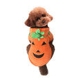 Cute Funny Pumpkin Dog Costume