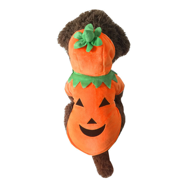 Cute Funny Pumpkin Dog Costume