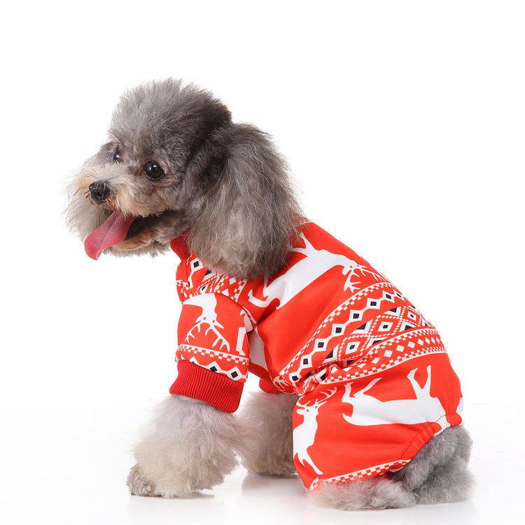 Witchy Halloween Pet – Weird Alternative Dog & Cat Costume Pet Clothes