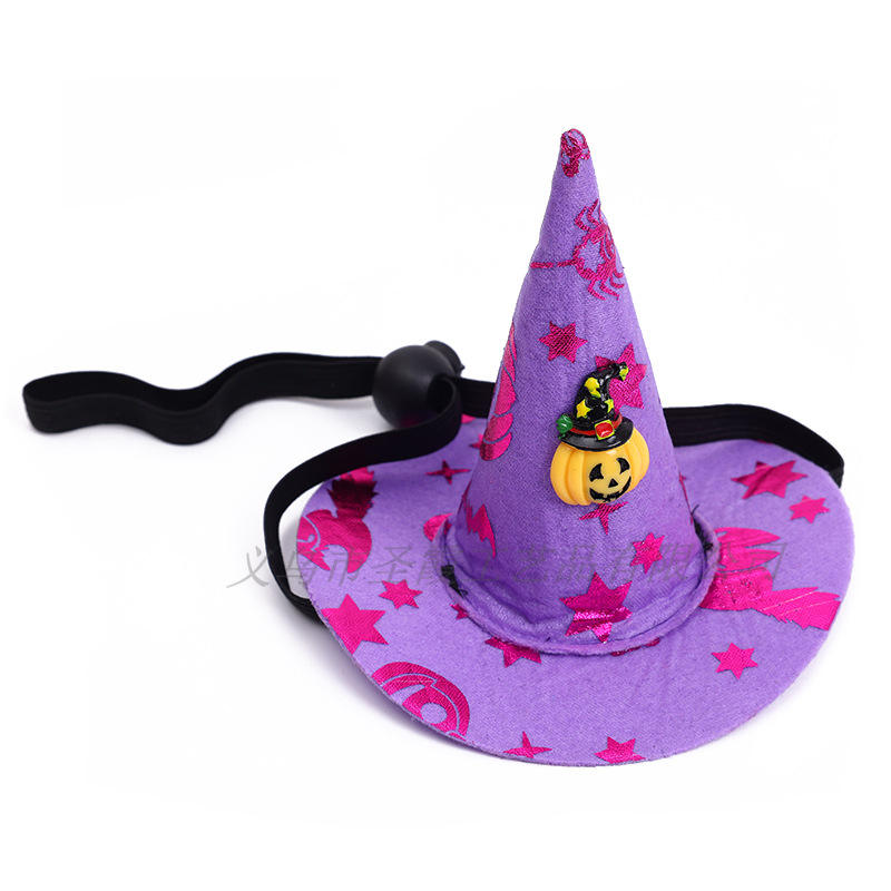 Spider Web Witch Hat, Pumpkin & Bat Hats for Dogs & Cats