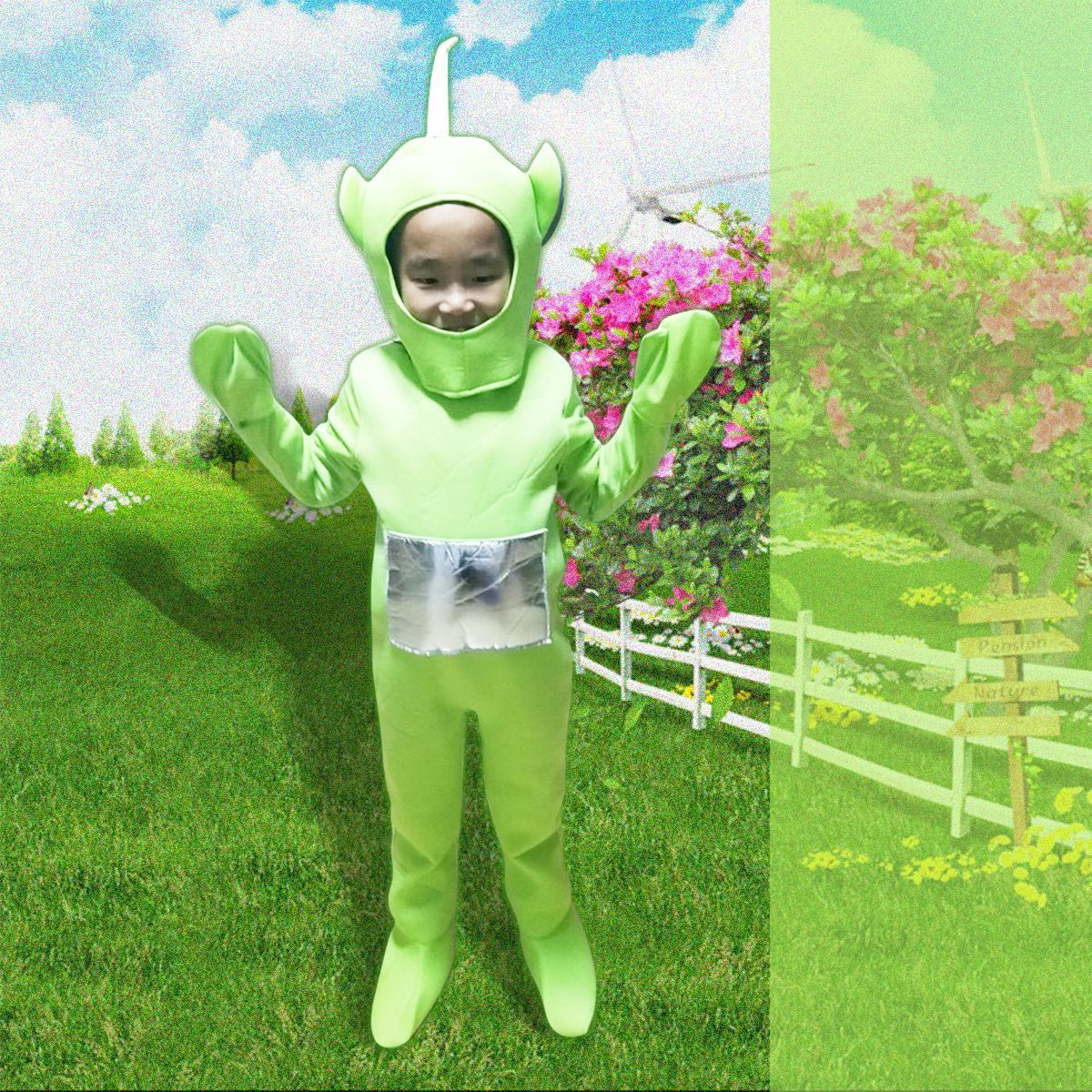 Teletubbies Cartoon Character Halloween Costume