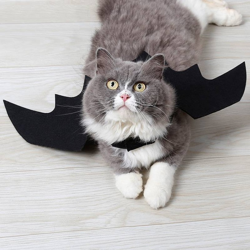 Halloween Bat Wings Costume for Cats