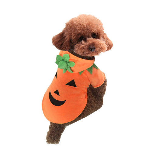 Cute Funny Pumpkin Dog Costume