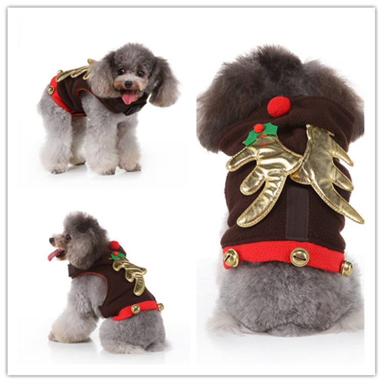 Witchy Halloween Pet – Weird Alternative Dog & Cat Costume Pet Clothes