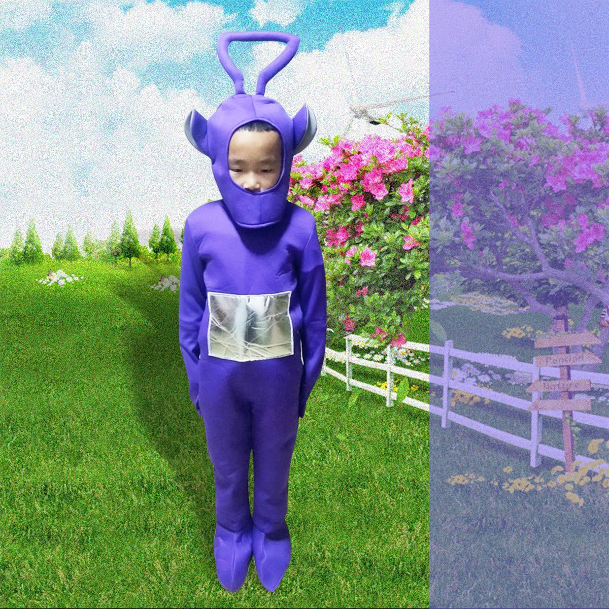 Teletubbies Cartoon Character Halloween Costume