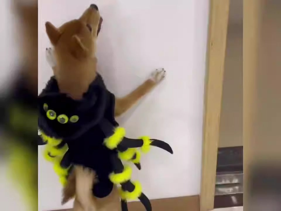 Giant Spider Dog Halloween Costume – Creepy Spider Transformation Outfit S–3XL